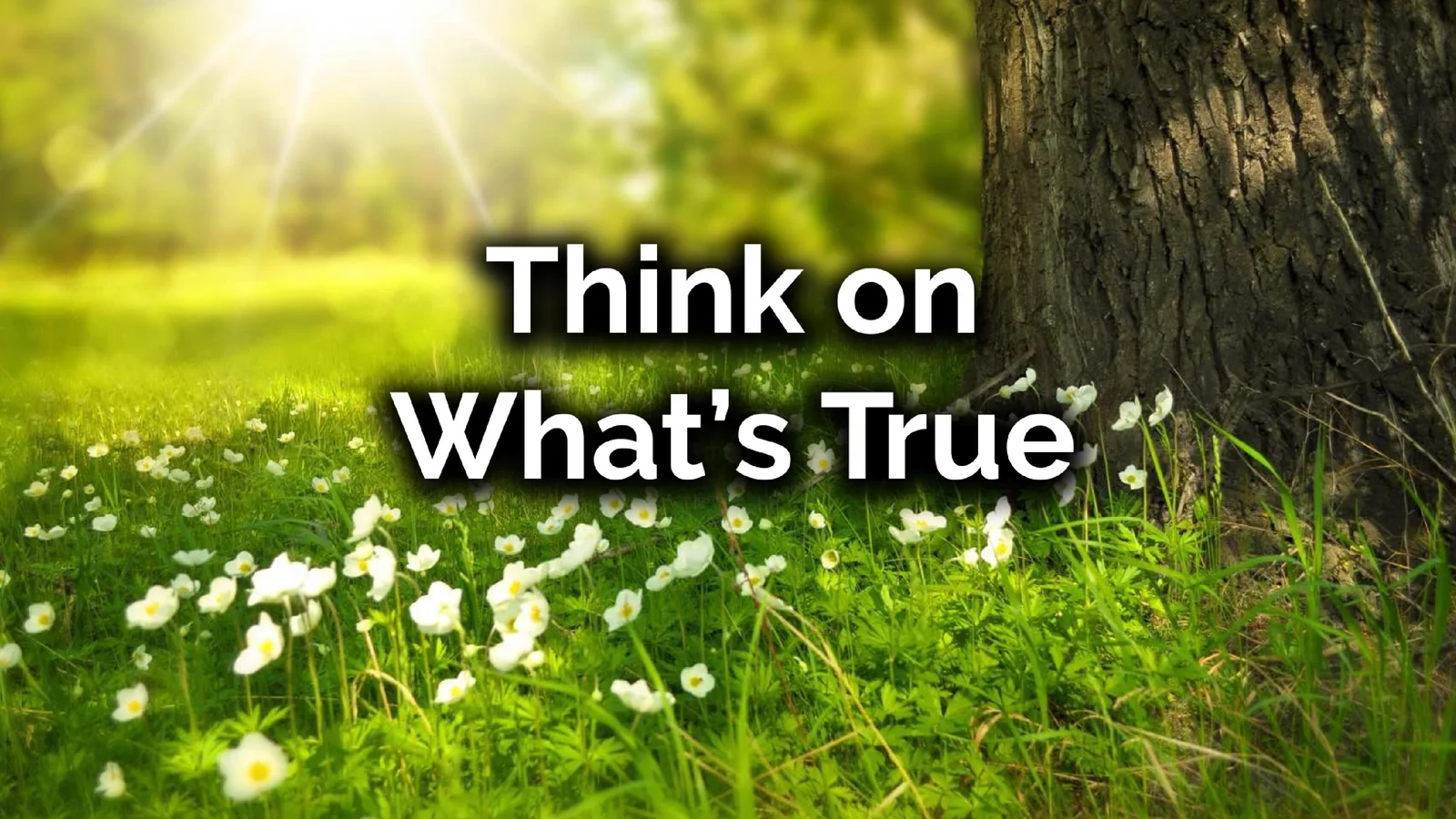 Lifters Think on What's True Pastor James Greer Church in Pineville, LA