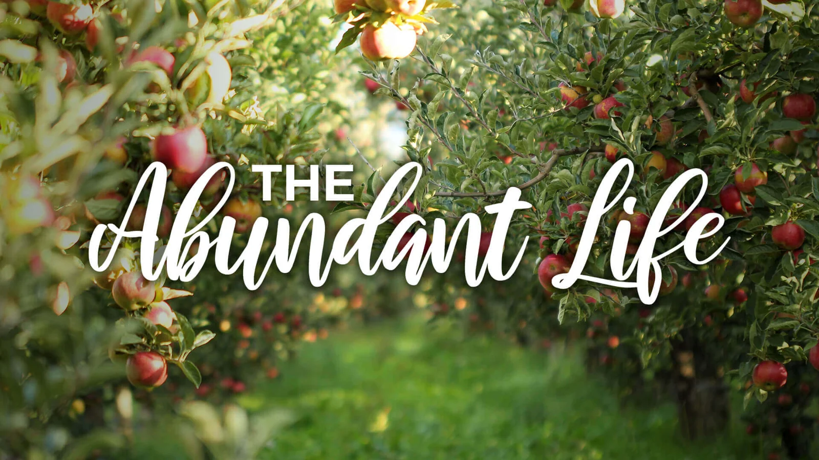 The Abundant Life Pastor James Greer Church in Pineville, LA